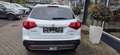 Suzuki Vitara 1.4 BOOSTERJET Comfort+ 4x4 Automatik Weiß - thumbnail 5