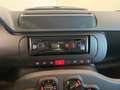 Fiat Panda Panda 1.0 FireFly S&S Hybrid Giallo - thumbnail 12