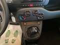 Fiat Panda Panda 1.0 FireFly S&S Hybrid Giallo - thumbnail 13
