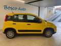 Fiat Panda Panda 1.0 FireFly S&S Hybrid Giallo - thumbnail 4