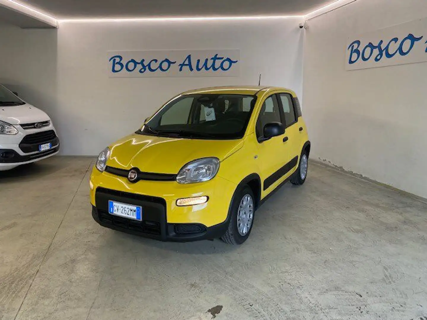 Fiat Panda Panda 1.0 FireFly S&S Hybrid Giallo - 2