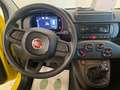 Fiat Panda Panda 1.0 FireFly S&S Hybrid Giallo - thumbnail 14
