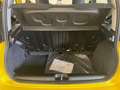Fiat Panda Panda 1.0 FireFly S&S Hybrid Giallo - thumbnail 16