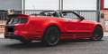 Ford Mustang SHELBY GT500 CABRIO 2013 Rojo - thumbnail 7