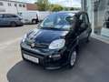 Fiat Panda Base 1,0 70PS Klima... Black - thumbnail 1