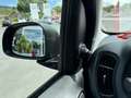 Fiat Panda Base 1,0 70PS Klima... Black - thumbnail 14