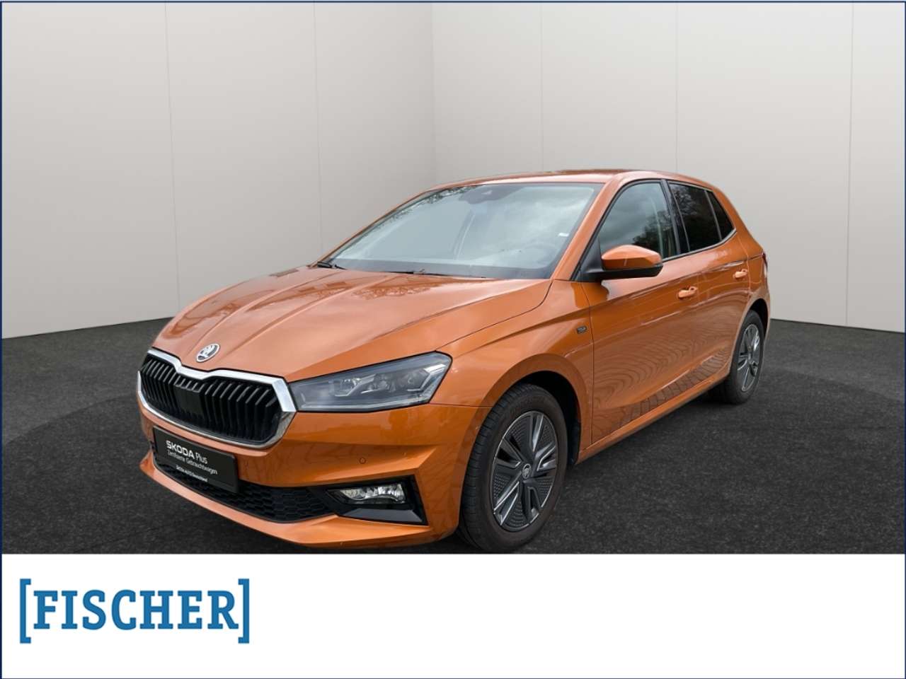 Skoda Fabia 2025 — 1.0TSI DSG Tour LED AHK Carplay Rear View PDC