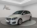 Mercedes-Benz B 200 B200d 4Matic Aut. COMAND PANO LED SHZ KAM SHZ Weiß - thumbnail 3