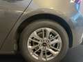 Ford Focus Titanium  Hybrid Automatik Grau - thumbnail 11