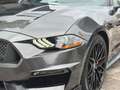 Ford Mustang Shelby GT 500 5.0 V8 Performance *LED* Grigio - thumbnail 2