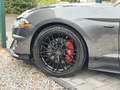 Ford Mustang Shelby GT 500 5.0 V8 Performance *LED* Grigio - thumbnail 12