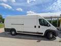Fiat Ducato Ducato GR-Panorama 33 L2H2 180 Mulitjet GR-Panorama Weiß - thumbnail 2