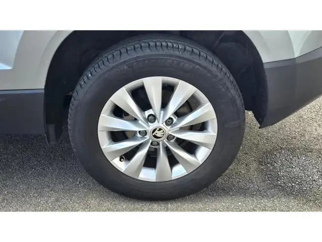 Skoda Karoq view 21