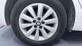SEAT Ibiza 1.6 TDI 95 Style Business ATTELAGE Blanc - thumbnail 27