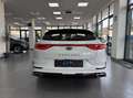 Kia Ceed / cee'd Proceed 1.6 crdi GT Line 136cv my20 Bianco - thumbnail 4