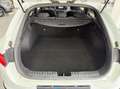 Kia Ceed / cee'd Proceed 1.6 crdi GT Line 136cv my20 Bianco - thumbnail 9