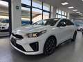 Kia Ceed / cee'd Proceed 1.6 crdi GT Line 136cv my20 Bianco - thumbnail 2