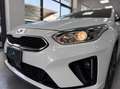 Kia Ceed / cee'd Proceed 1.6 crdi GT Line 136cv my20 Bianco - thumbnail 7