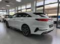 Kia Ceed / cee'd Proceed 1.6 crdi GT Line 136cv my20 Bianco - thumbnail 6