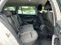 Skoda Octavia 2.0 TDI DSG Tour*BEAM*VC*NAVI*ACC* Weiß - thumbnail 12