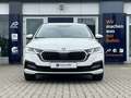 Skoda Octavia 2.0 TDI DSG Tour*BEAM*VC*NAVI*ACC* Weiß - thumbnail 3