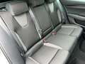 Skoda Octavia 2.0 TDI DSG Tour*BEAM*VC*NAVI*ACC* Weiß - thumbnail 26