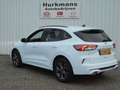 Ford Kuga 2.5 PHEV 225PK 52.832 KM ST-LINE NIEUWSTAAT Blanc - thumbnail 6