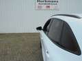 Ford Kuga 2.5 PHEV 225PK 52.832 KM ST-LINE NIEUWSTAAT Blanc - thumbnail 13