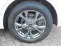 Ford Kuga 2.5 PHEV 225PK 52.832 KM ST-LINE NIEUWSTAAT Blanc - thumbnail 14