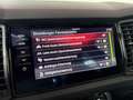Skoda Kodiaq RS 4x4 PANO| ACC| AHK| LED | KAM | MEMORY Gris - thumbnail 20