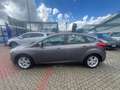 Ford Focus Focus 5p 1.6 tdci Titanium 115cv Grigio - thumbnail 9