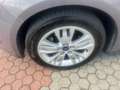 Ford Focus Focus 5p 1.6 tdci Titanium 115cv Grigio - thumbnail 6