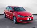 Volkswagen Polo 5 Porte 1.2 TDI Comfortline Rosso - thumbnail 7