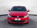 Volkswagen Polo 5 Porte 1.2 TDI Comfortline Rosso - thumbnail 8