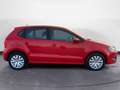 Volkswagen Polo 5 Porte 1.2 TDI Comfortline Rosso - thumbnail 6