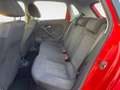 Volkswagen Polo 5 Porte 1.2 TDI Comfortline Rosso - thumbnail 13