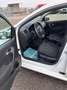 Volkswagen Polo Polo 1.0 MPI 5p. Business Trendline Blanc - thumbnail 18