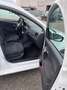 Volkswagen Polo Polo 1.0 MPI 5p. Business Trendline Blanc - thumbnail 21