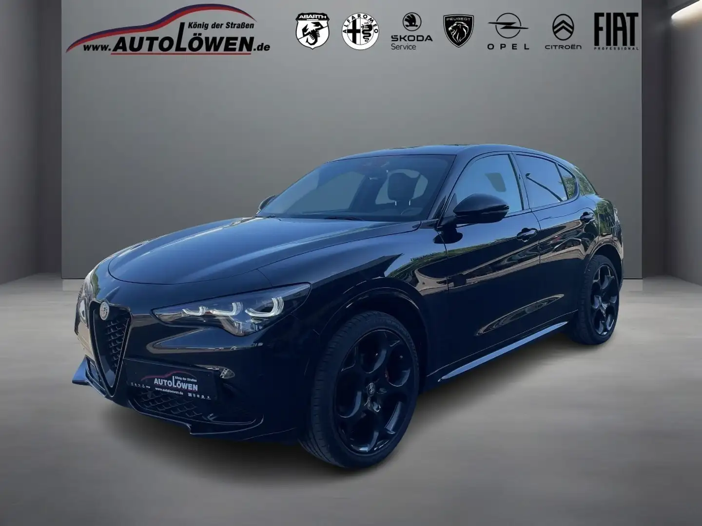 Alfa Romeo Stelvio 2.0 Turbo 16V Competizione Q4 (EURO 6d) - 1