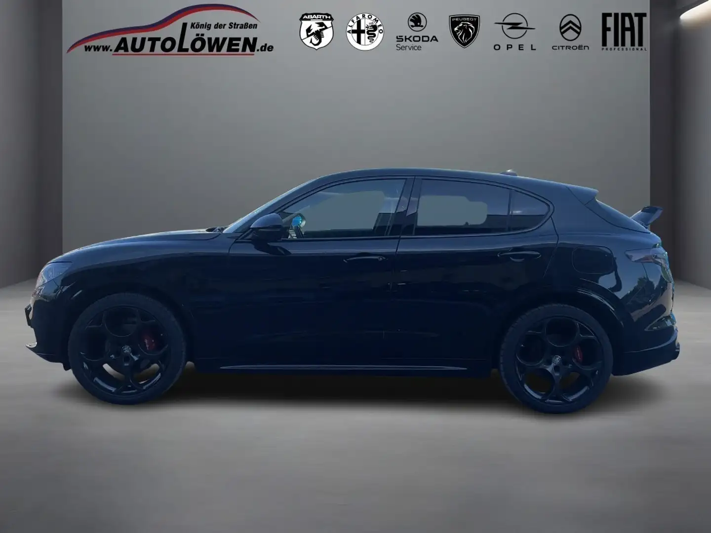 Alfa Romeo Stelvio 2.0 Turbo 16V Competizione Q4 (EURO 6d) - 2
