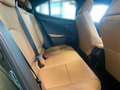Lexus UX 250h Executive Line SCHIEBEDACH PREMIUM PAKET KAMERA Grün - thumbnail 15
