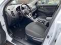 Kia Sportage 2.0i Vision 2WD Navi Einparkhilfe Berganfahrassist Weiß - thumbnail 14