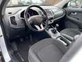 Kia Sportage 2.0i Vision 2WD Navi Einparkhilfe Berganfahrassist Weiß - thumbnail 17