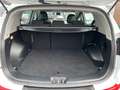 Kia Sportage 2.0i Vision 2WD Navi Einparkhilfe Berganfahrassist Weiß - thumbnail 9