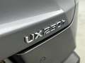 Lexus UX 250h Luxury Line | Carplay/Navigatie | Parkeersensoren Grigio - thumbnail 9