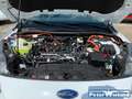 Ford Kuga 2.5 Duratec -PHEV EU6d Plug-In Hybrid Cool & Conne Weiß - thumbnail 16