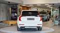 Volvo XC90 XC90 T8 7-Sitzer AWD PHEV R-Design Geartronic *AHK Weiß - thumbnail 5