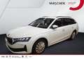 Skoda Octavia Combi Essence 1.5 e-tec DSG AHK Sitzh PDC LED Smar Weiß - thumbnail 1