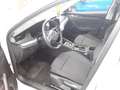 Skoda Octavia Combi Essence 1.5 e-tec DSG AHK Sitzh PDC LED Smar Weiß - thumbnail 4