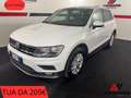 Volkswagen Tiguan 2.0 TDI SCR Business BlueMotion Technology Bianco - thumbnail 1